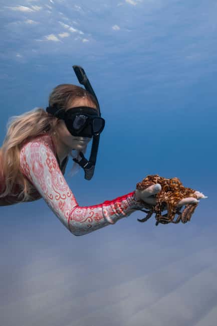 From Waikiki: Turtle Canyon Snorkeling Tour - Is $77 a fair price?