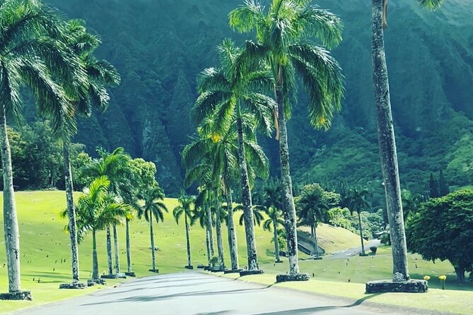 Full-Day Circle Island Guided Tour of Oahu - North Shore food, from chicken to food trucks
