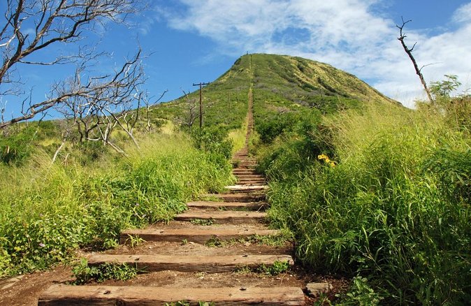 Full-Day Guided Adventure in Koko Head Stairs and Southeast O'ahu - Key points to know before booking