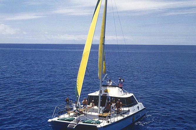 Full Day Oahu Bike, Hike, Sail and Snorkel Combo - Sailing along Diamond Head