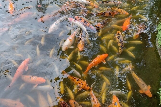Full Day Oahu Tour with Byodo Temple & Waimea Waterfalls - Tropical Farms and Dole Plantation