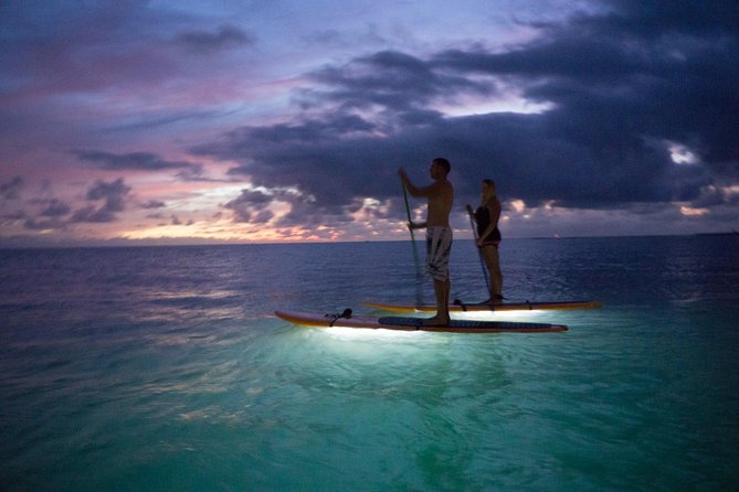GLOW Stand Up Paddle at Twilight - At a glance: what makes the glow paddle special