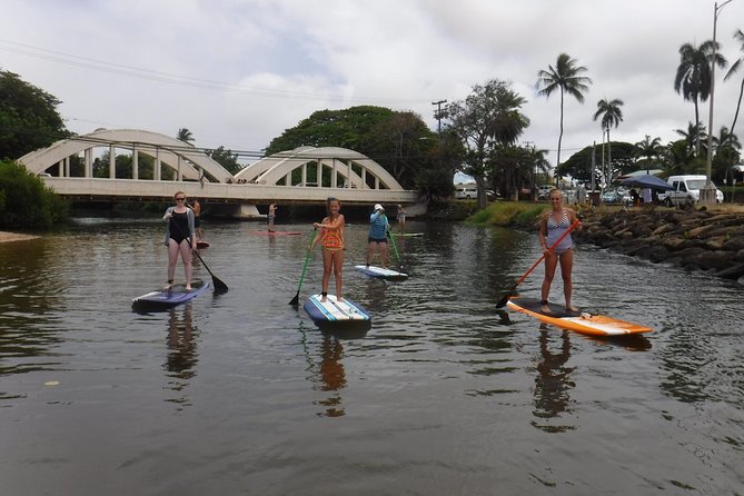 Group Stand Up Paddle Lesson and Tour - Turtles, plants, and the character of historic Haleiwa