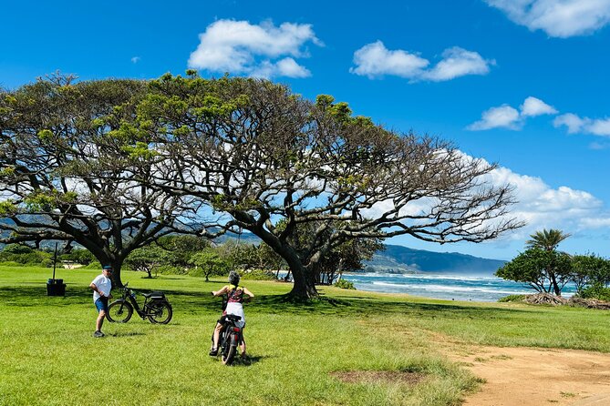 Guided E-Bike Tour in North Shore - Key points to know before you ride