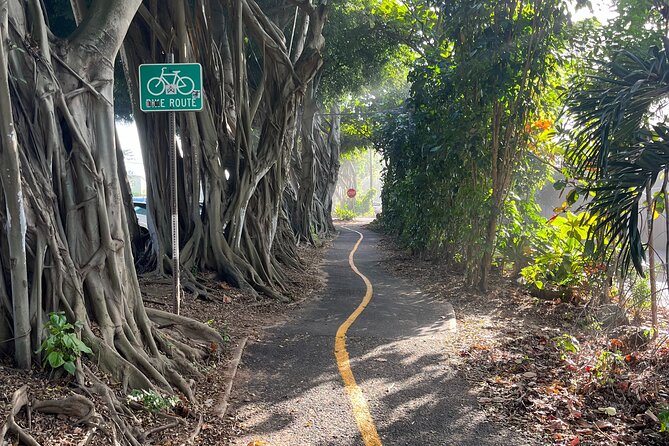 Guided E-Bike Tour in North Shore - Haleiwa Beach Park: North Shore atmosphere without a long beach day