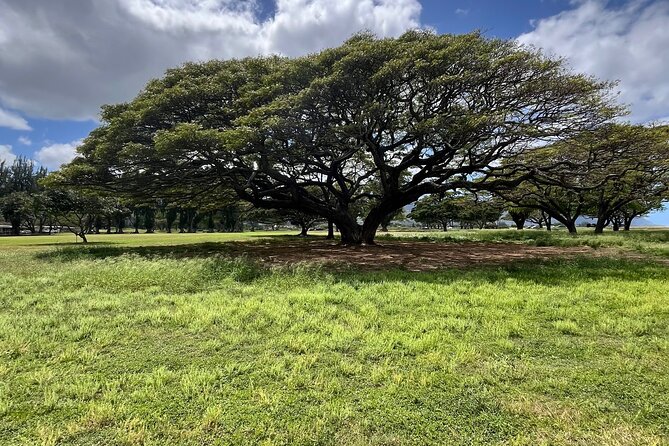 Guided E-Bike Tour in North Shore - Comfort, safety, and the actual pace
