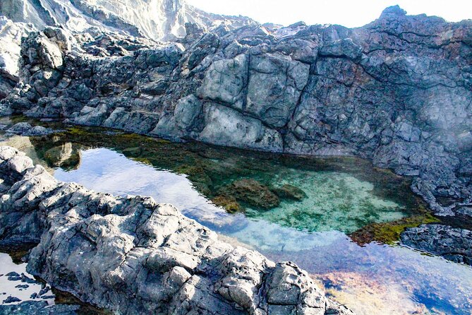 Guided Kayak Tour to Kailua’s Twin Islands - What the $219 price gets you