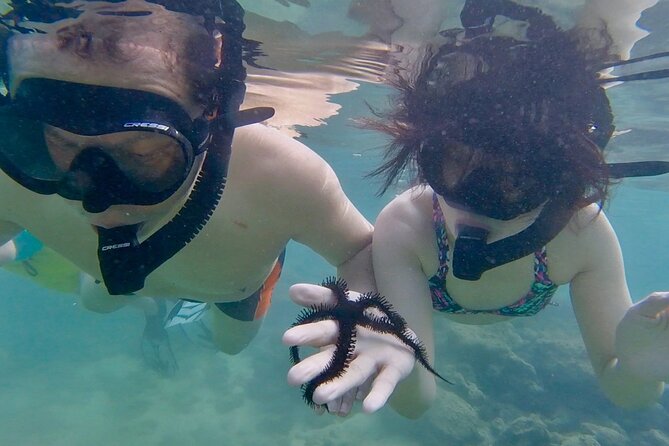 Guided Snorkel Tour for Beginners in Honolulu - Timing, weather, and cancellation details