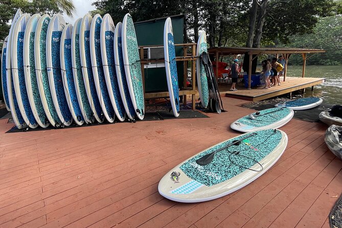 Haleiwa River Paddle Board Rental with Blue Planet Adventure Co. - Returning downstream toward Haleiwa Bay