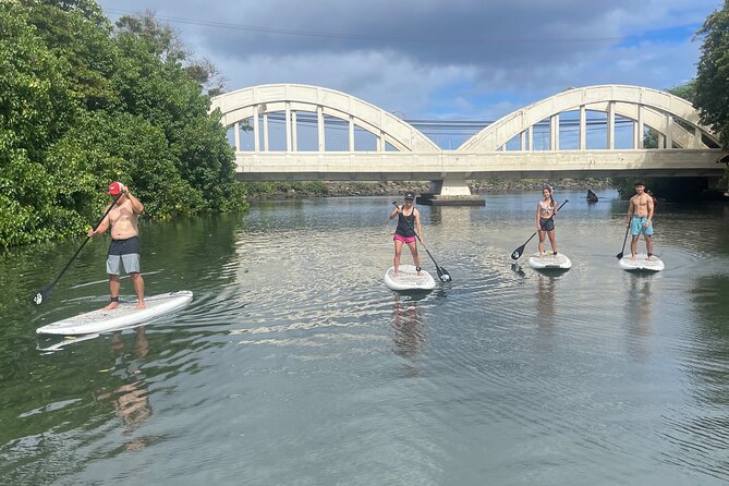 Haleiwa River Paddle Board Rental with Blue Planet Adventure Co. - Turtles, fish, birds, and the rope swing