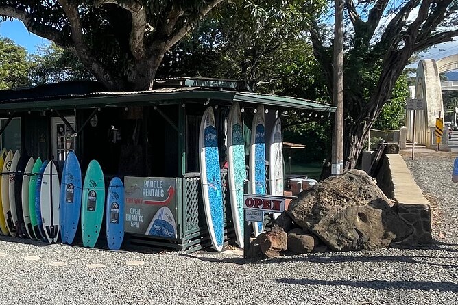 Haleiwa River Paddle Board Rental with Blue Planet Adventure Co. - Paddleboard or kayak: choosing the right fit