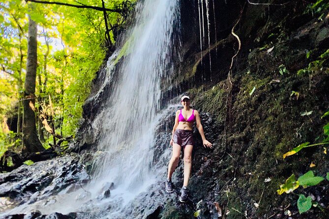 Half-Day Waterfall Tour - Hike, Scenic, Food and Photo - The poke stop and what the $115 price includes
