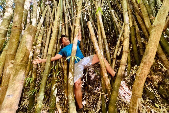 Half-Day Waterfall Tour - Hike, Scenic, Food and Photo - Two waterfalls and a natural shower instead of a swim