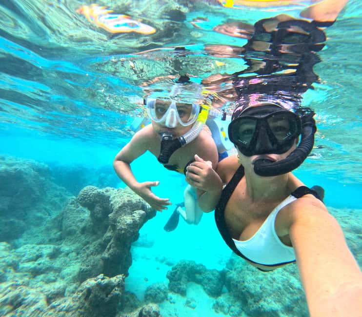 Hanauma Bay Guided Snorkel Tour with guaranteed entrance - Fish, turtles, and the condition of the coral