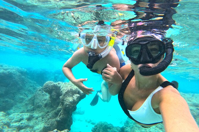 Hanauma Bay Guided Snorkel Tour (with guaranteed entrance time) - Who should choose this Hanauma Bay tour?