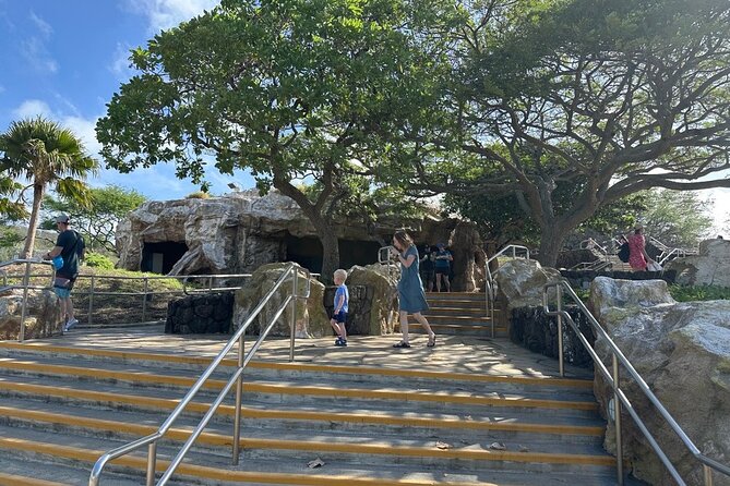 Hanauma Bay Snorkel Lesson - What the one-hour Hanauma Bay itinerary includes