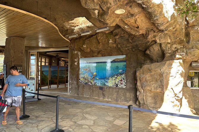 Hanauma Bay Snorkel Lesson - Who should book this Hanauma Bay lesson