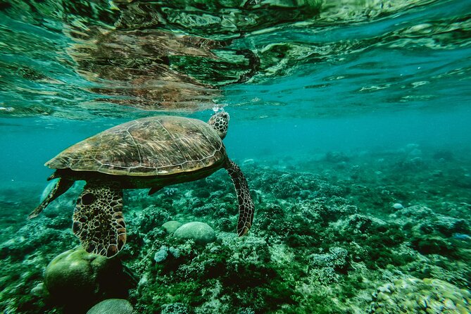 Hanauma Bay Snorkel - The drive from Honolulu and the arrival routine