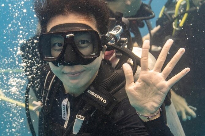 Hawaii DISCOVER Beginner + Certified 2 Tank Shallow Scuba Diving - Meeting in Waikiki and Heading to Kewalo Basin
