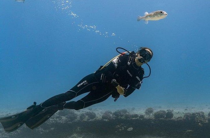 Hawaii DISCOVER Beginner + Certified 2 Tank Shallow Scuba Diving - Handling Currents, Seasickness, and an Interrupted Session