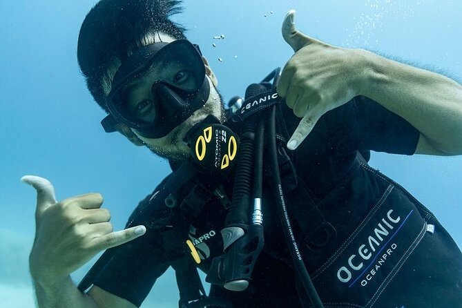 Hawaii DISCOVER Beginner + Certified 2 Tank Shallow Scuba Diving - Is $299 a Fair Price?