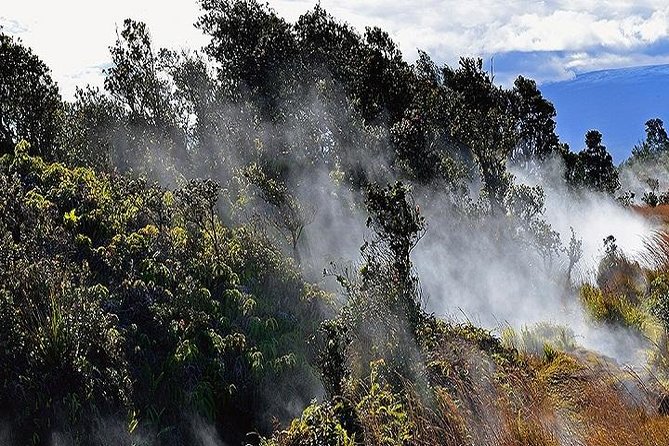 Hawaii Volcanoes National Park Experience from Oahu - Hawaii Volcanoes National Park in two focused hours