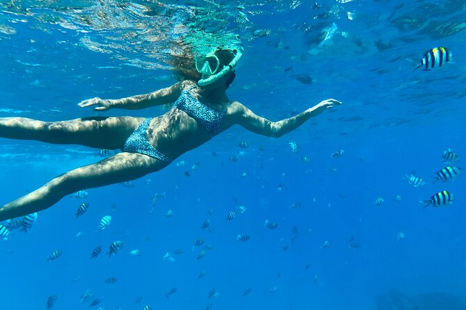 Hawaiian Culture & Snorkel Adventure with Photo/Videos - Key points at a glance
