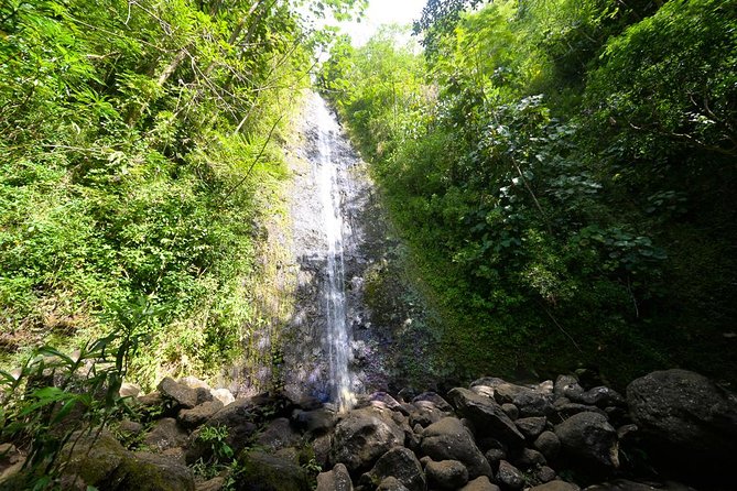 Hawaiian Waterfall Hike - Key points to know before booking