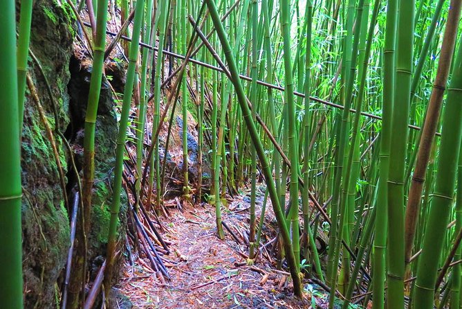 Hawaiian Waterfall Hike - Is $101.41 a fair price?