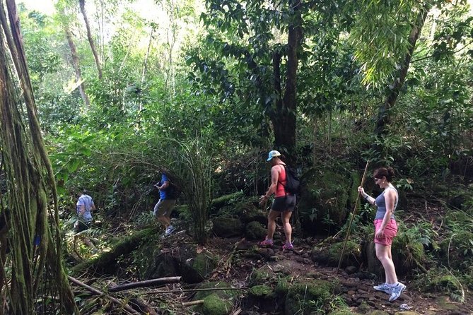 Hawaiian Waterfall Hike - Rain, safety, and what to bring