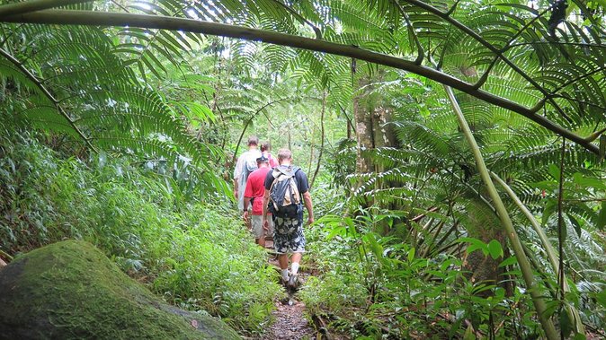 Hawaiian Waterfall Hike - Who will enjoy this Manoa hike?