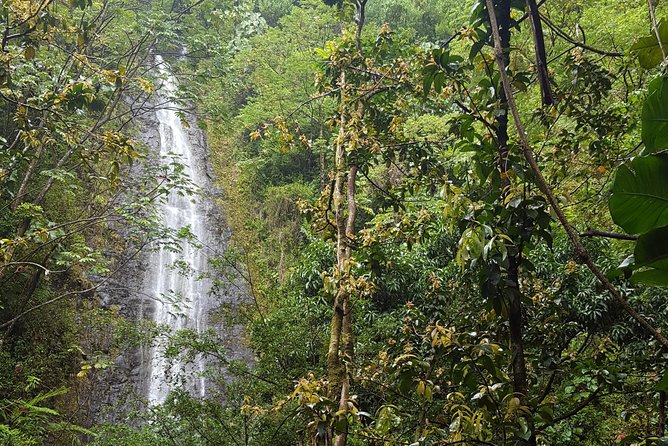 Hawaiian Waterfall Hike - A short trail with real footing challenges