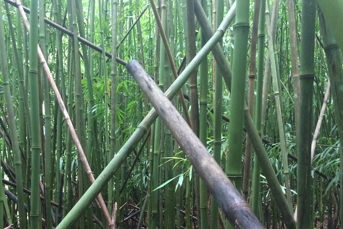 Hidden Hawaii Tours - Is $150 a fair price?