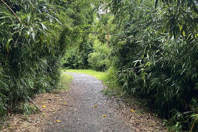 Hike to a Tropical Waterfall - pick up included - Pickup from Waikiki, Ala Moana, downtown, or Diamond Head