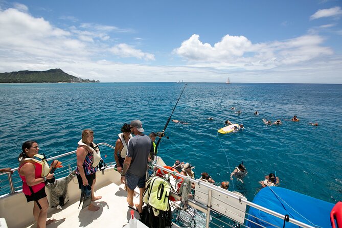 Hilton Hawaiian Village Turtle Snorkel with Optional Lunch - Snorkeling at Turtle Canyon