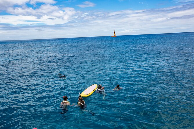 Hilton Hawaiian Village Turtle Snorkel with Optional Lunch - What the $156.79 price buys you