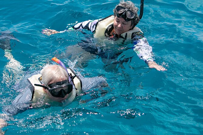 Hilton Hawaiian Village Turtle Snorkel with Optional Lunch - Who will enjoy this Oahu boat trip