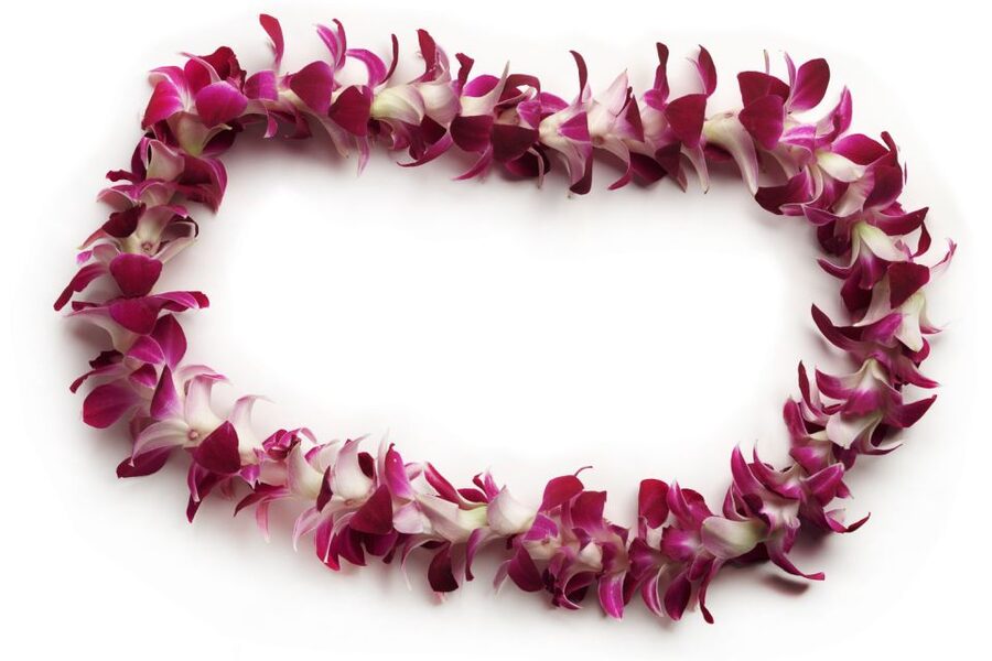 Honolulu Airport Custom Lei Greeting - Choose Your Lei - Why flight tracking makes a difference