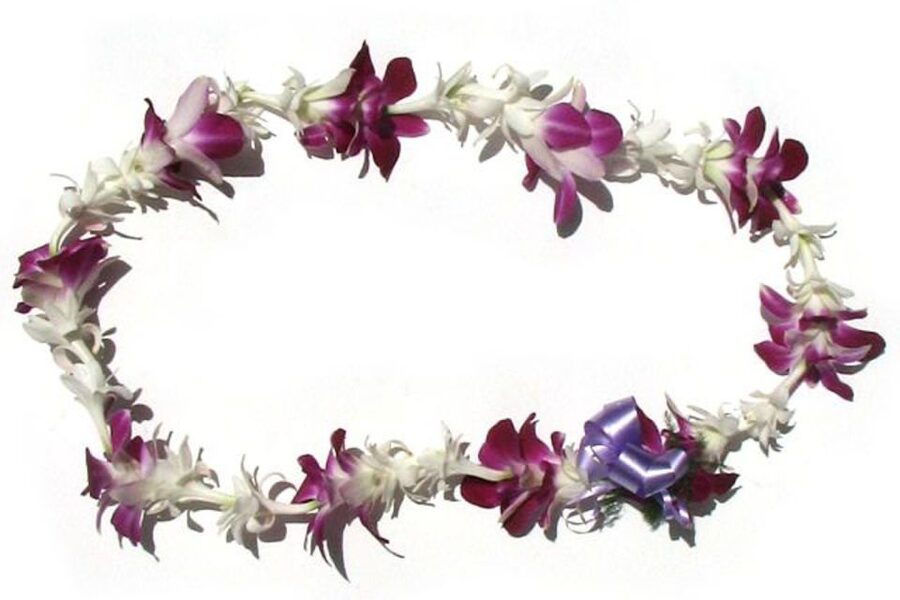 Honolulu Airport Custom Lei Greeting - Choose Your Lei - What the 20-minute arrival usually includes