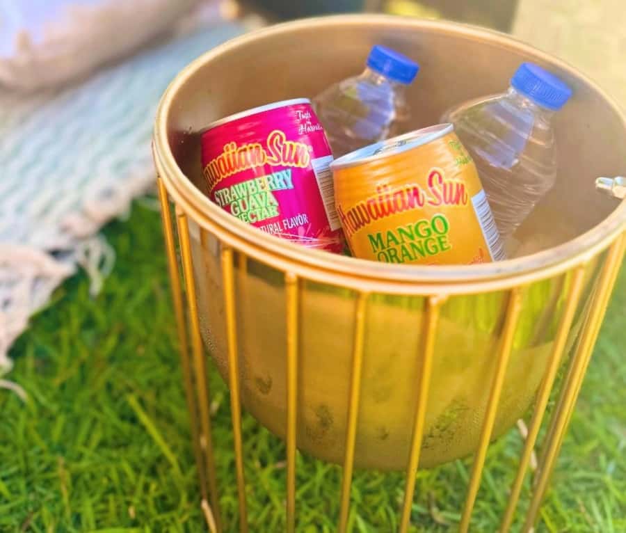Honolulu: Beachside Luxury Picnic & Paint - Key points at a glance
