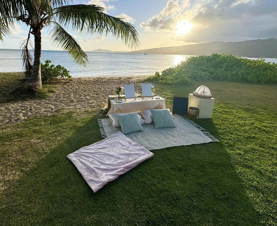Honolulu: Beachside Luxury Picnic & Paint - Choosing between a blank canvas and a prepared outline