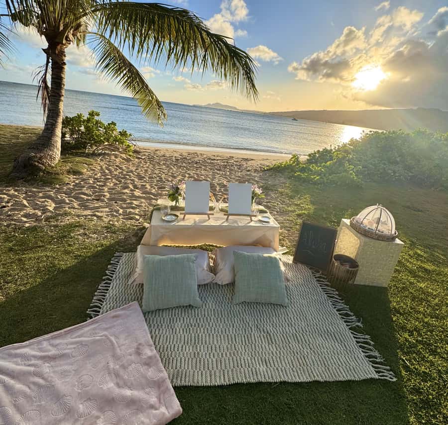 Honolulu: Beachside Luxury Picnic & Paint - Why the secluded setting changes the experience