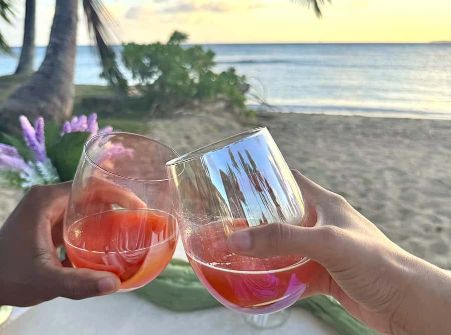 Honolulu: Beachside Luxury Picnic & Paint - Practical details before you book
