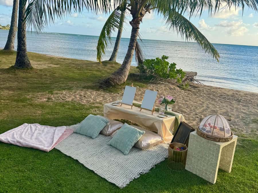 Honolulu: Beachside Luxury Picnic & Paint - A two-hour plan with no wasted errands