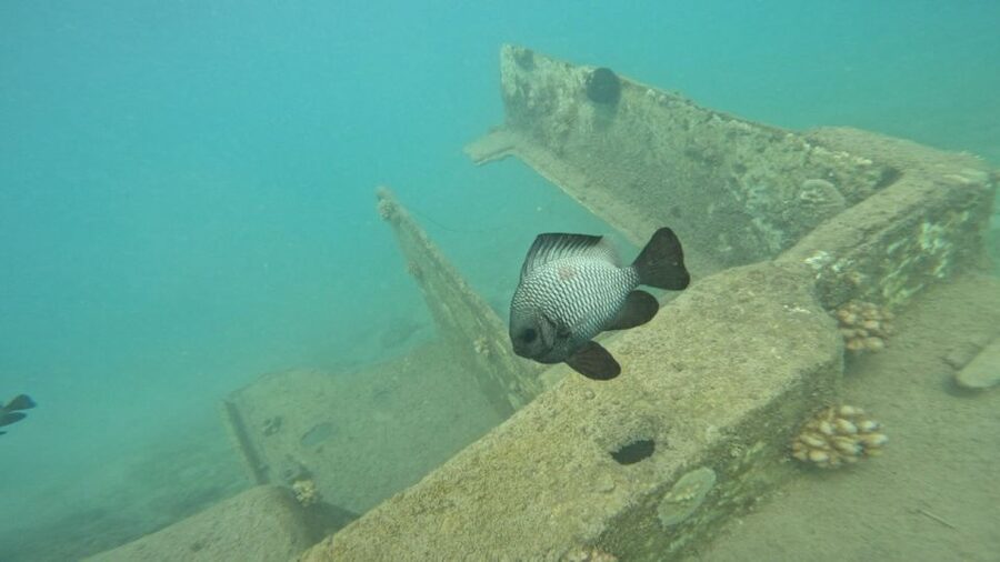 Honolulu: Beginner Scuba Diving Tour With Free Videos - The First 15 Minutes: Safety Before Scuba