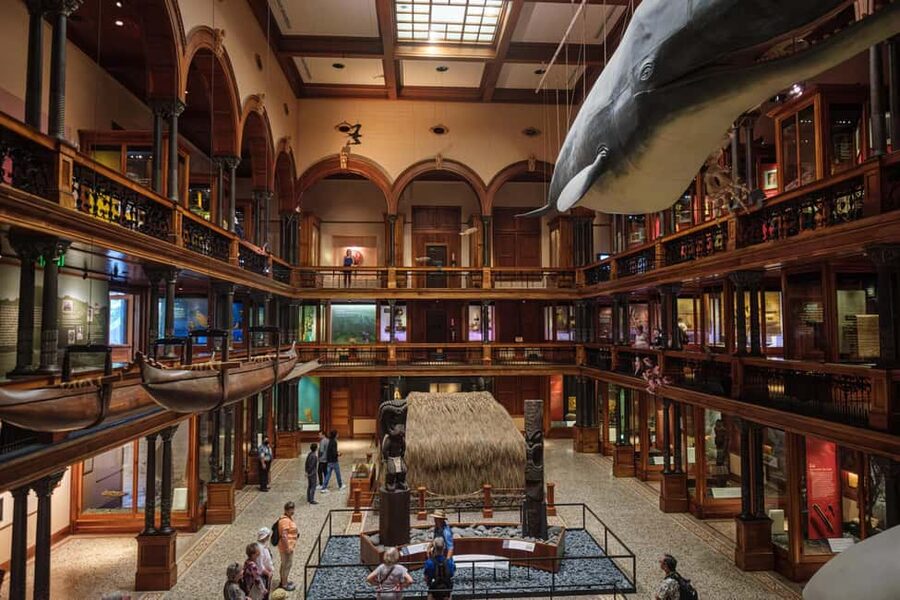 Honolulu: Bishop Museum General Admission Ticket - Making sense of 25 million stories