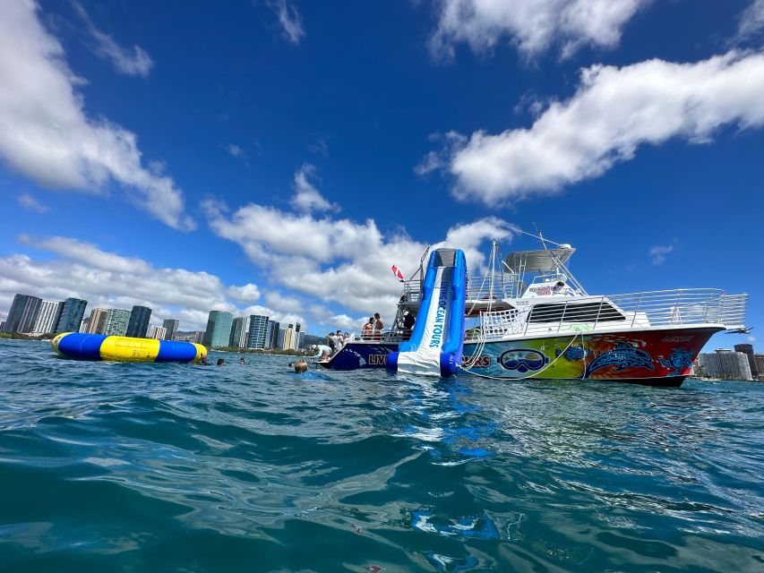 Honolulu: Deluxe Waikiki Snorkel and Wildlife Cruise - Why this Waikiki cruise feels different