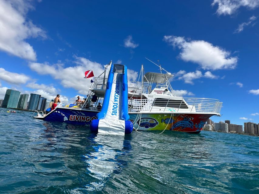Honolulu: Deluxe Waikiki Snorkel and Wildlife Cruise - Waikiki anchorage: 1.5 hours of water time