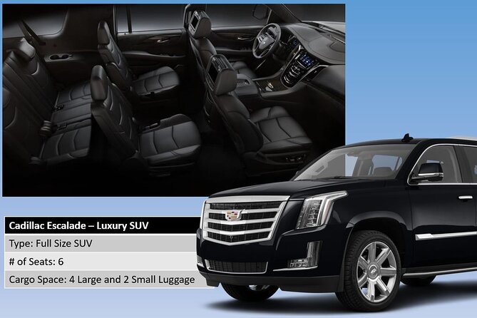 Honolulu Harbor Cruise Terminal Transfer by Luxury Vehicle - Clean vehicles and serious luggage help