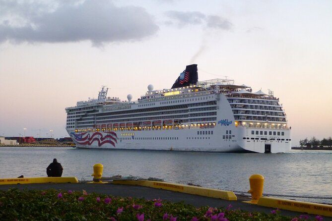 Honolulu Harbor Cruise Terminal Transfer by Luxury Vehicle - Hotel and airport pickups keep the first or last hour simple